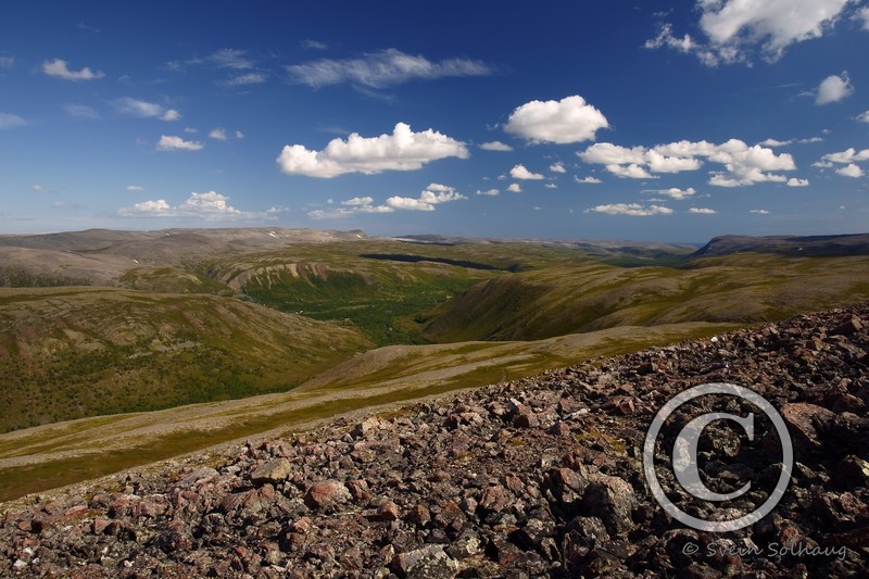 Skogåsdalen Skogåsdalen