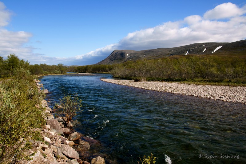 Syltefjordelva Syltefjordelva