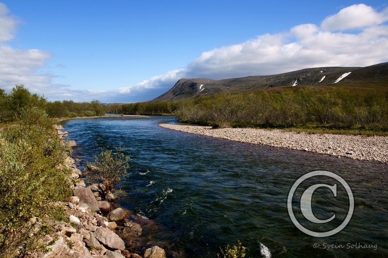 Syltefjordelva