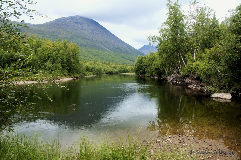 Dividalen Dividalen