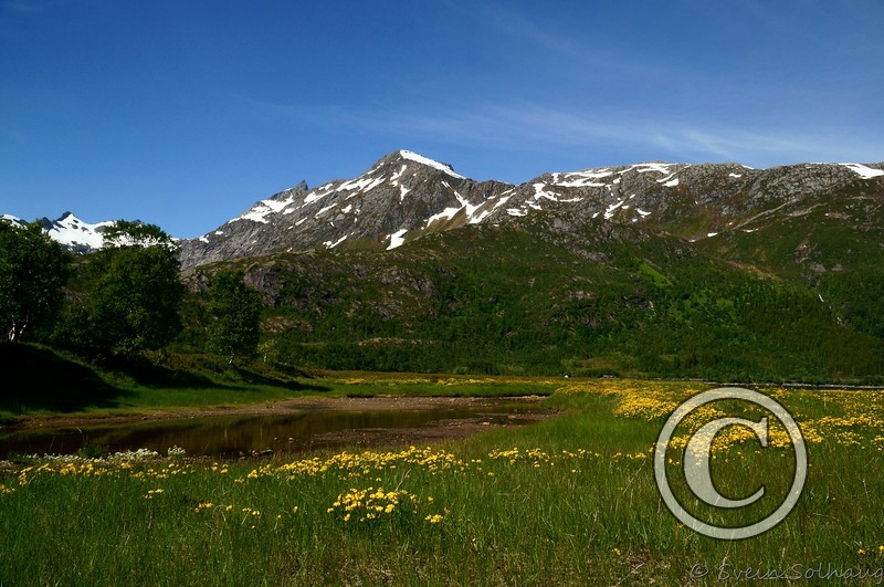 Gullesfjordbotn