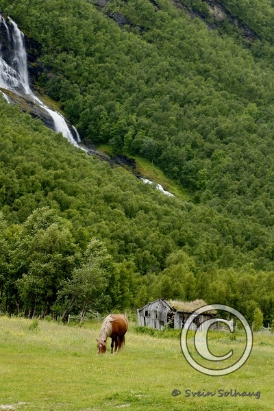 Kåfjorddalen