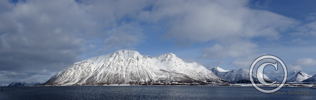 Forfjorden