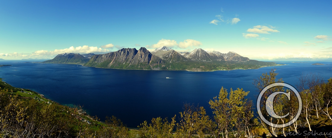 Grytøya